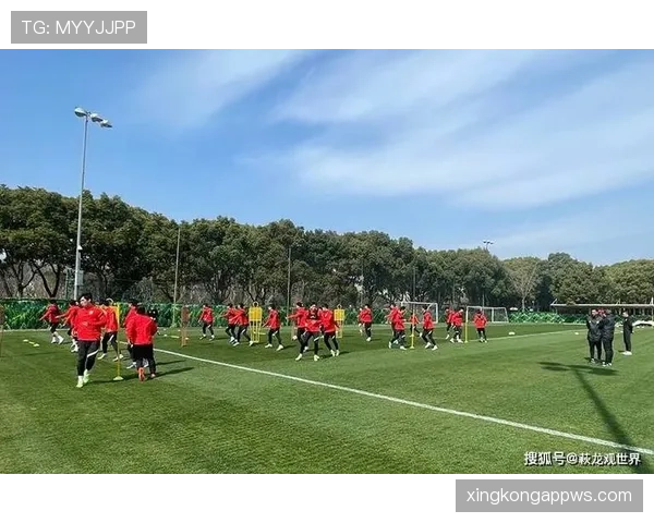 恩德里克对抗能力解析：如何适应成年队比赛