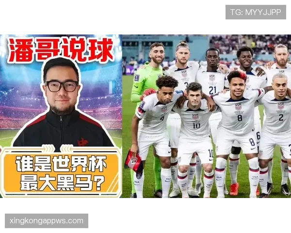 世界杯H组潜在黑马盘点